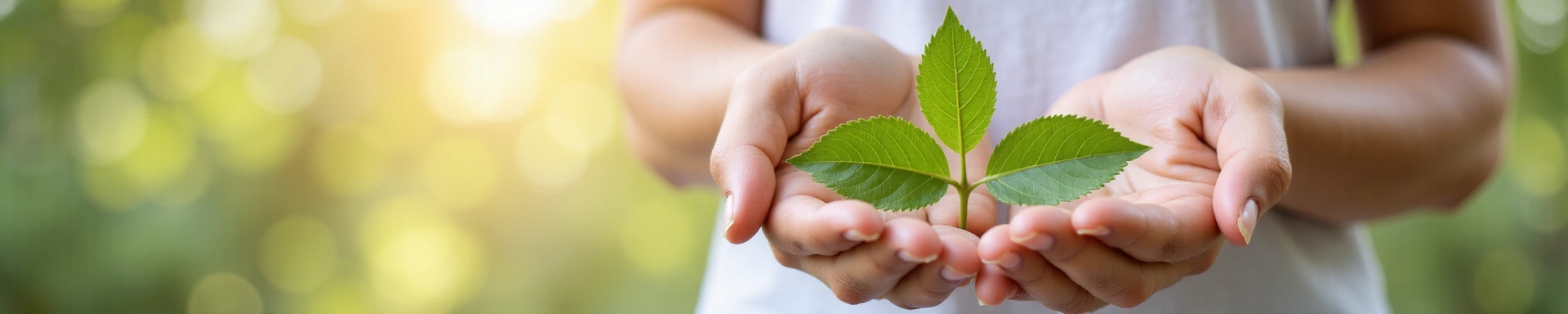 A hand gently holding a vibrant green leaf, symbolizing connection and care in a soft, inviting natural setting.